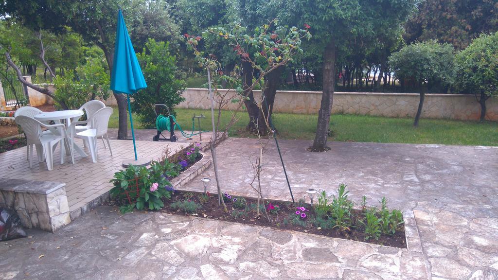 Apartment Basic Petrcane Luaran gambar