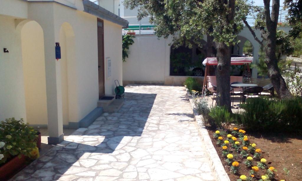 Apartment Basic Petrcane Luaran gambar