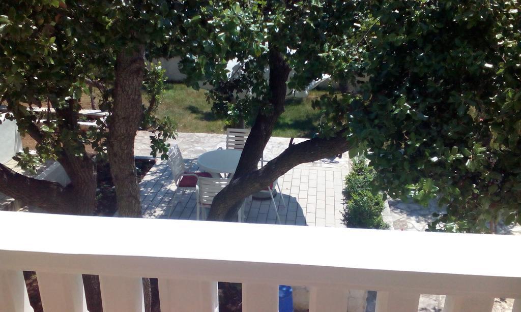 Apartment Basic Petrcane Luaran gambar