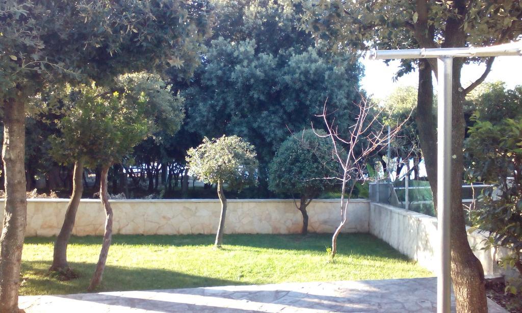 Apartment Basic Petrcane Luaran gambar