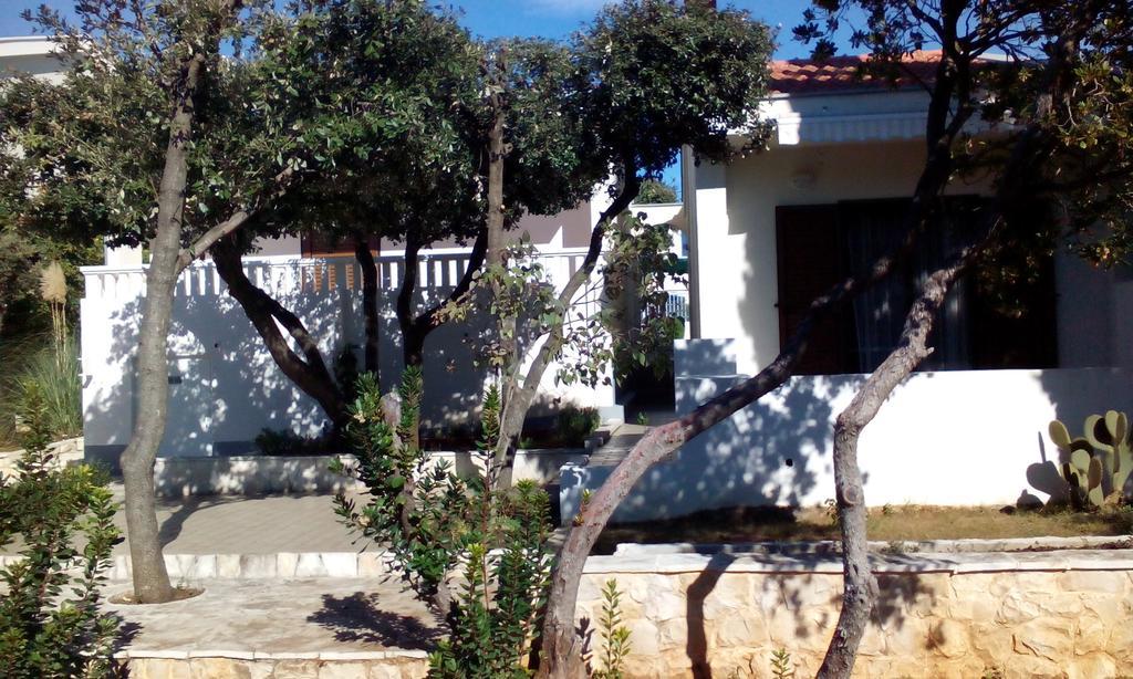 Apartment Basic Petrcane Luaran gambar