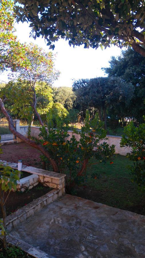 Apartment Basic Petrcane Luaran gambar